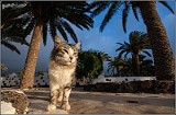 Lanzarote-102