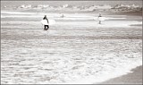 Lanzarote-498