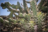 Lanzarote-734