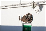 Lanzarote-815