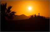 Lanzarote-826