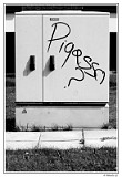 Pigasso