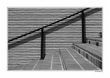 Lines