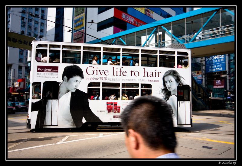 Hair.jpg