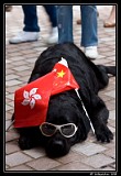 Elvis
