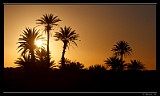 IMG_0917