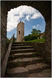 IMG_7979