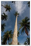 IMG_0780